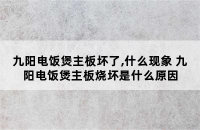 九阳电饭煲主板坏了,什么现象 九阳电饭煲主板烧坏是什么原因